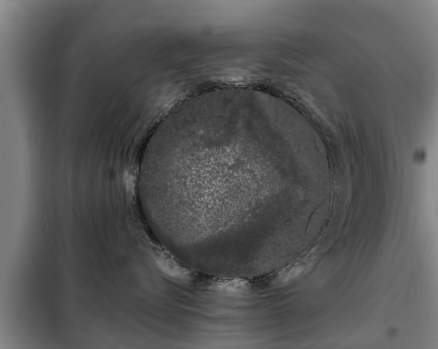 X0000099300576200805090957