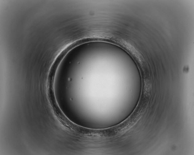 X0000099300580200805090956