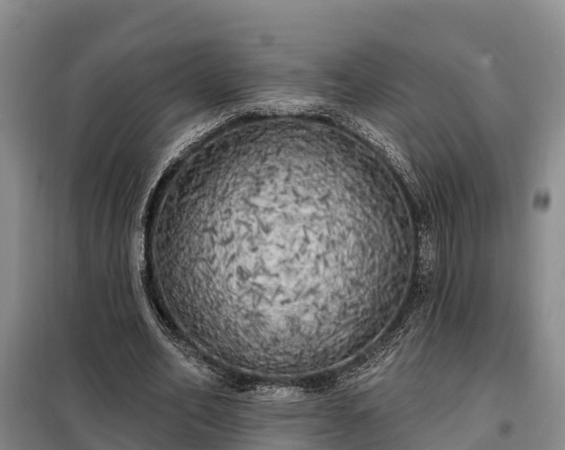 X0000099300582200805090956