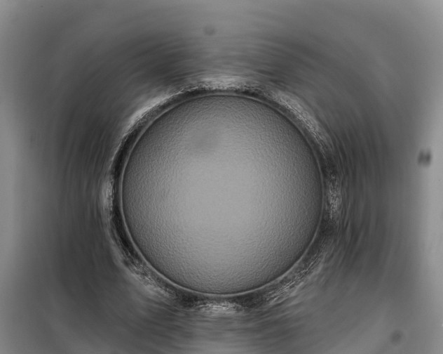 X0000099300583200805090956