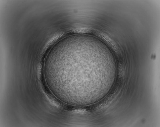 X0000099300586200805090956