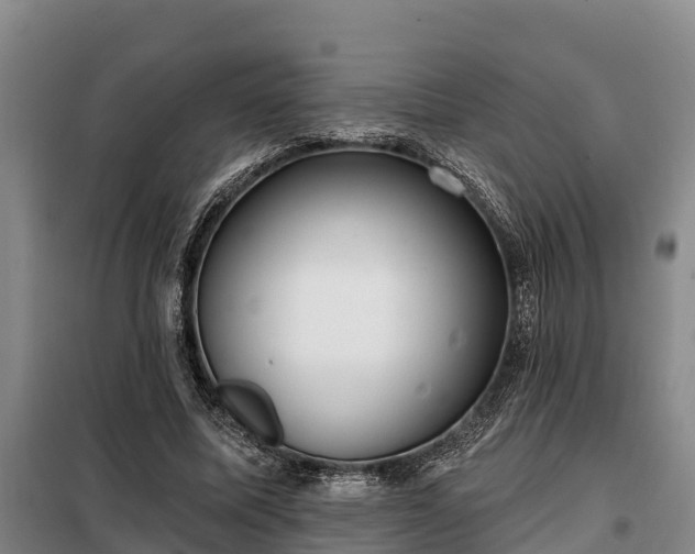 X0000099300587200805090956