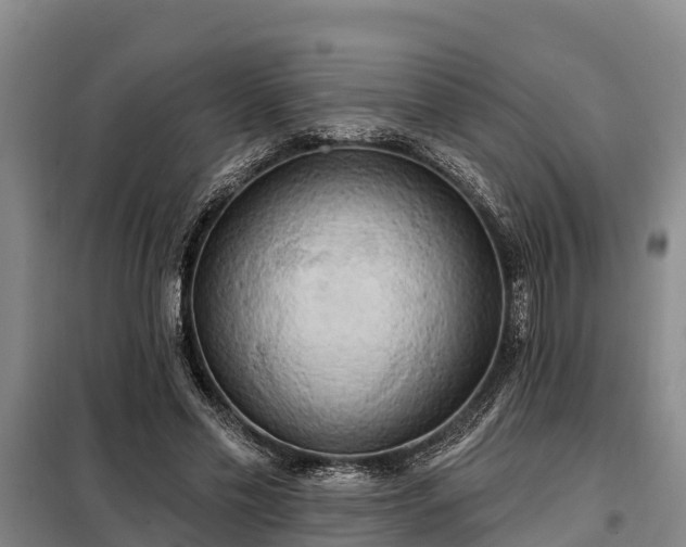 X0000099300589200805090956