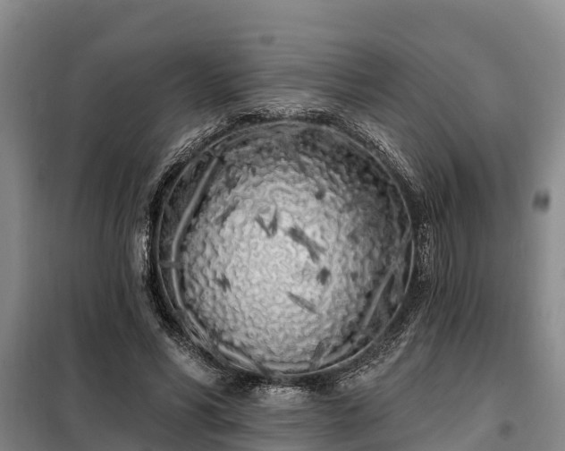 X0000099300590200805090956