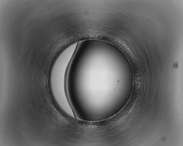 X0000099300593200805090956