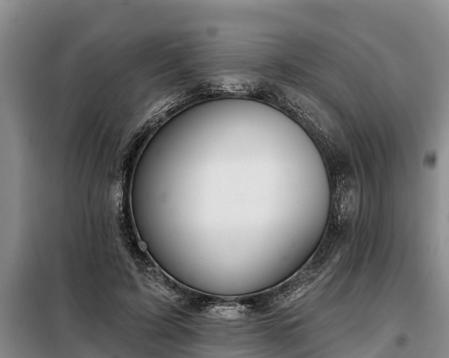 X0000099300595200805090956