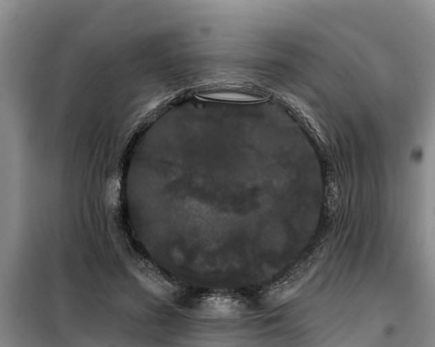 X0000099300596200805090956