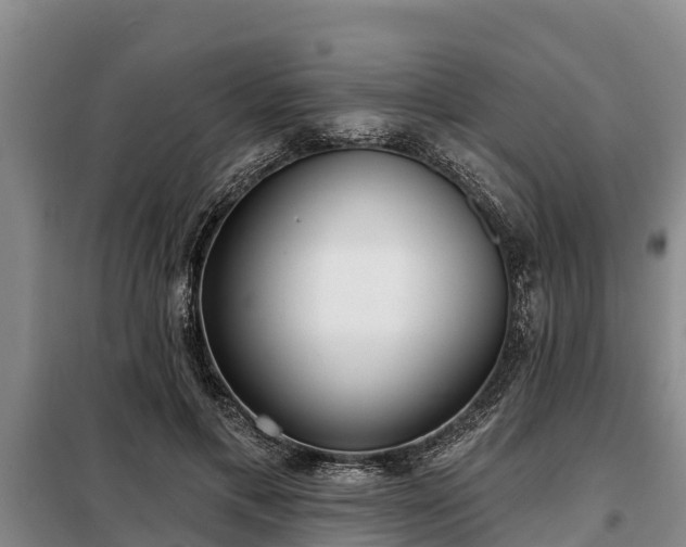 X0000099300597200805090956