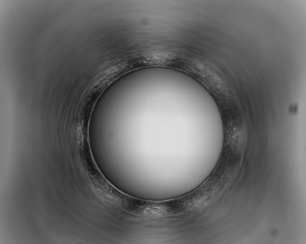 X0000099300599200805090956