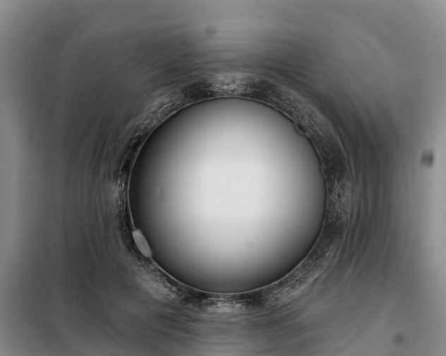 X0000099300601200805090956