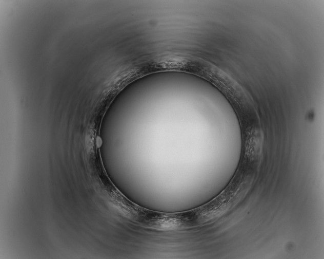 X0000099300604200805090955