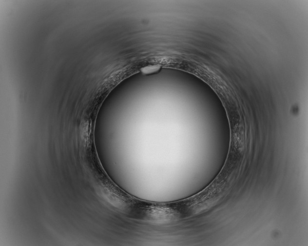 X0000099300605200805090955