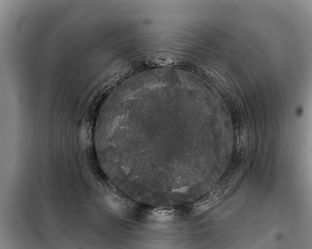 X0000099300606200805090955