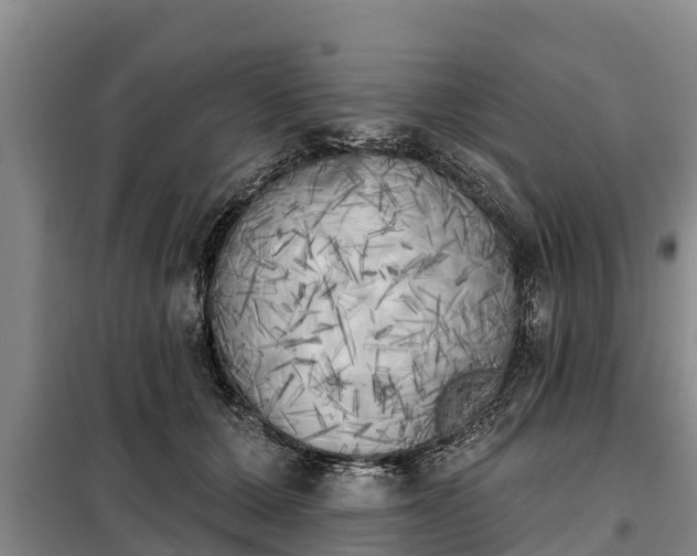 X0000099300607200805090955