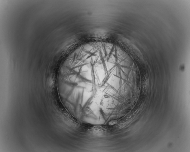 X0000099300608200805090955