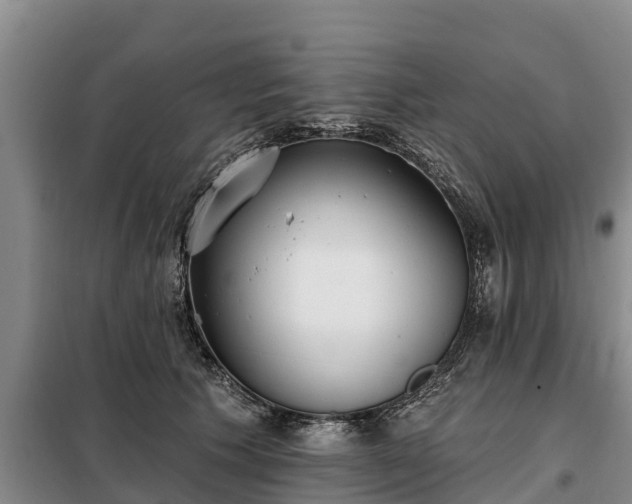 X0000099300609200805090955