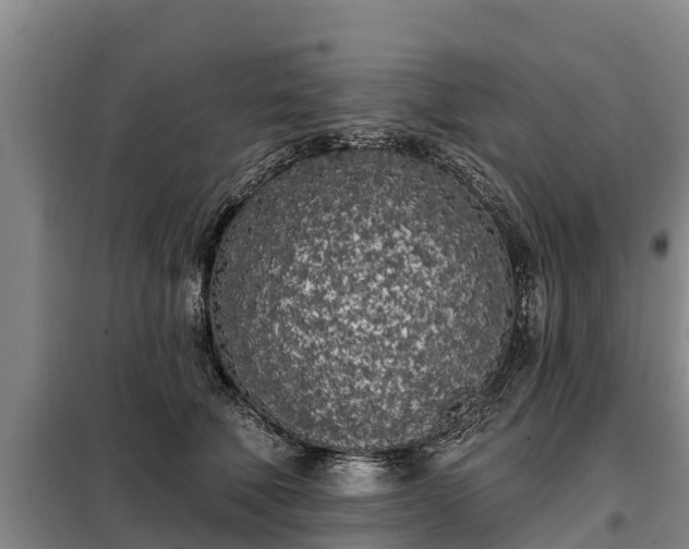 X0000099300610200805090955