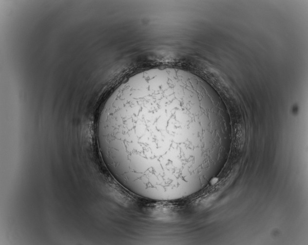 X0000099300612200805090955