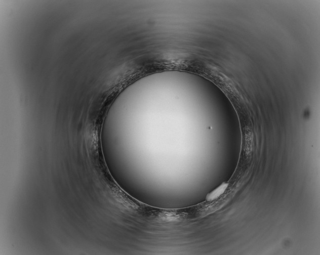 X0000099300613200805090955