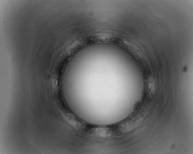 X0000099300615200805090955