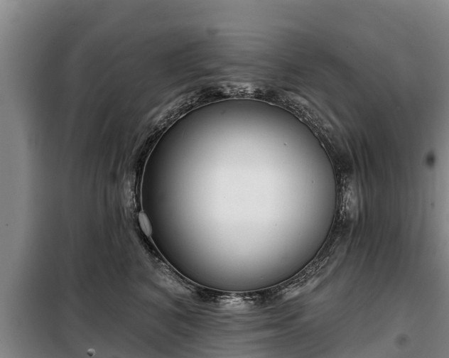 X0000099300616200805090955