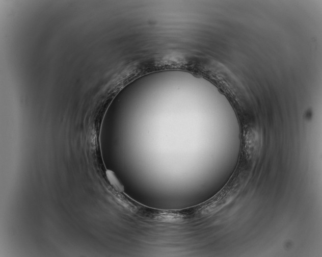 X0000099300617200805090955