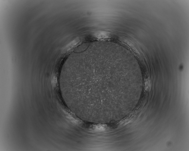 X0000099300618200805090955