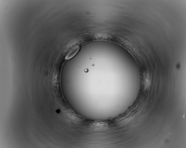 X0000099300619200805090955