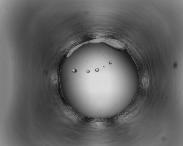 X0000099300620200805090955