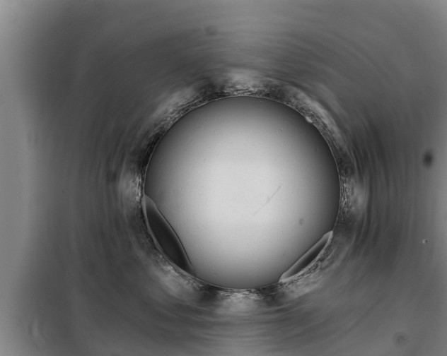 X0000099300621200805090955