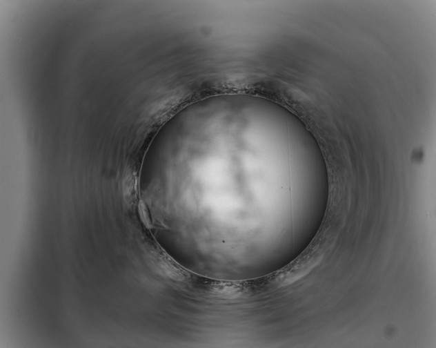 X0000099300624200805090955