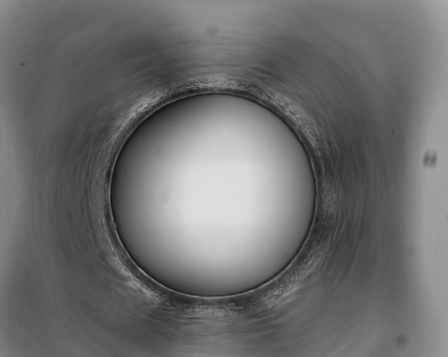 X0000099300625200805090955