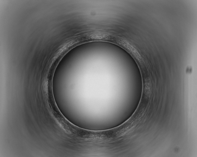 X0000099300626200805090955