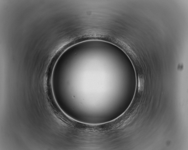 X0000099300627200805090955