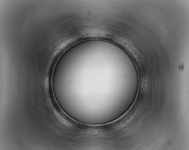 X0000099300629200805090955