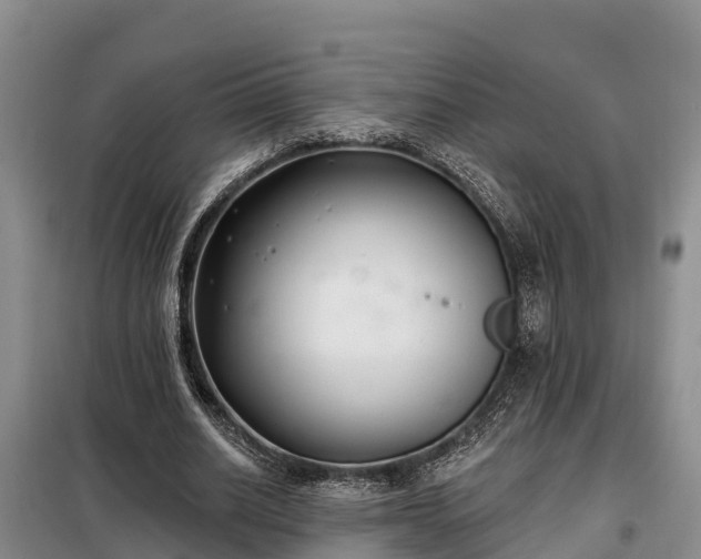 X0000099300630200805090955