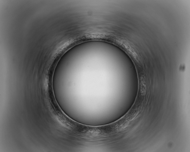 X0000099300631200805090955