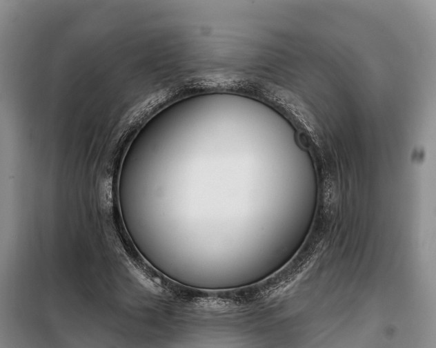 X0000099300633200805090955