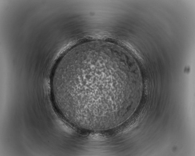 X0000099300634200805090955