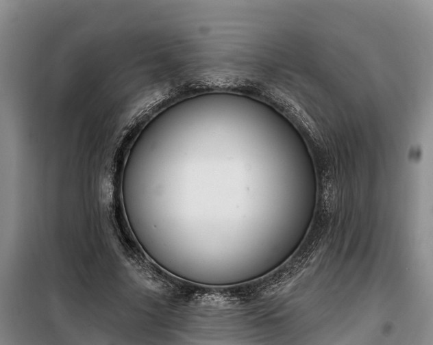 X0000099300635200805090955