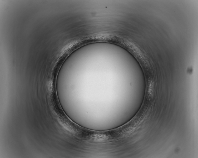 X0000099300636200805090955