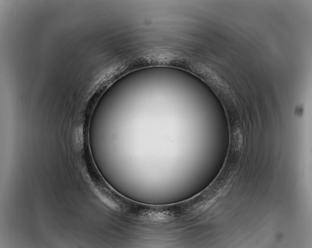 X0000099300638200805090955