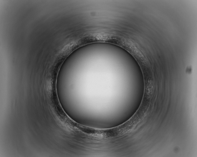 X0000099300639200805090955