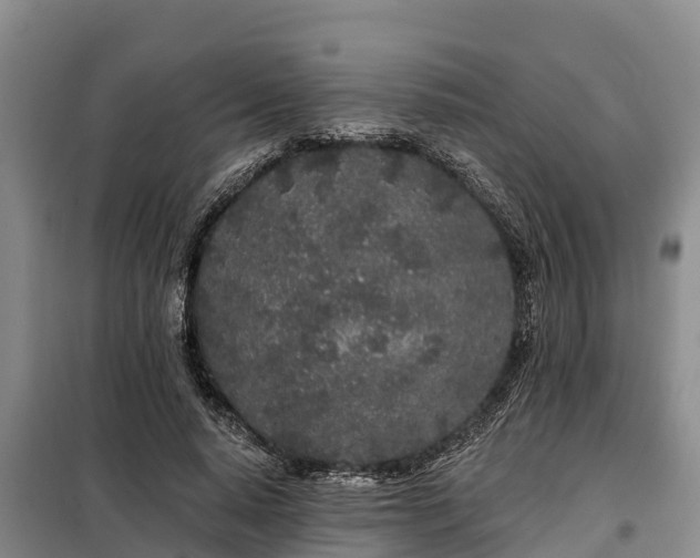 X0000099300640200805090955