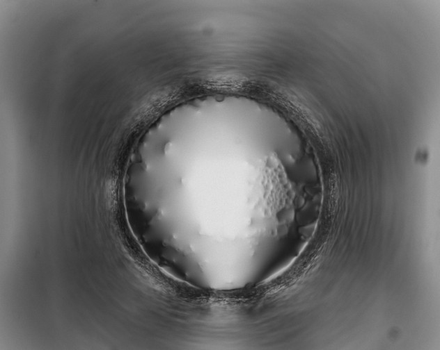 X0000099300641200805090955