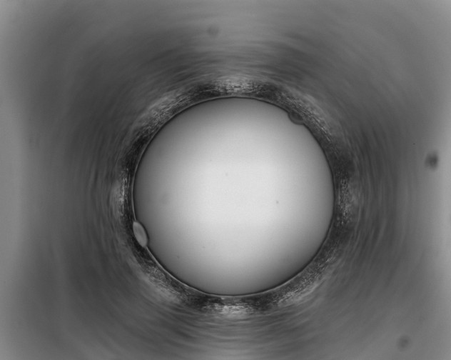 X0000099300645200805090955