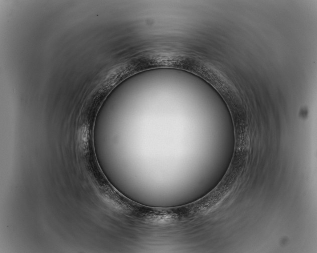 X0000099300646200805090955