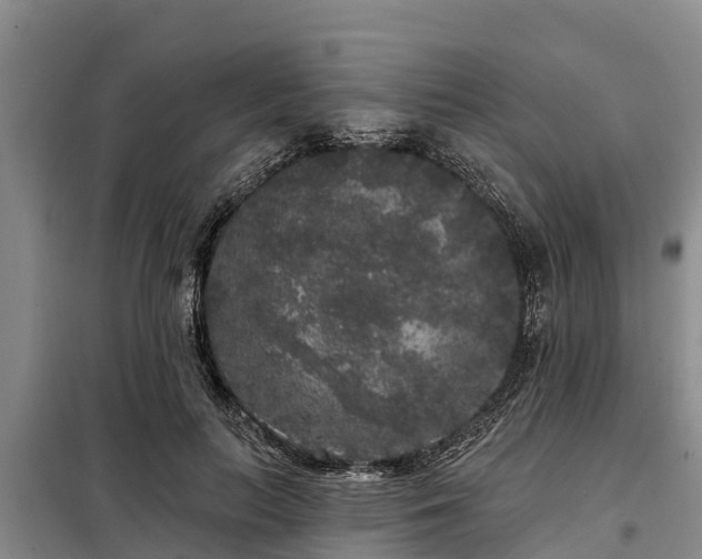 X0000099300647200805090955