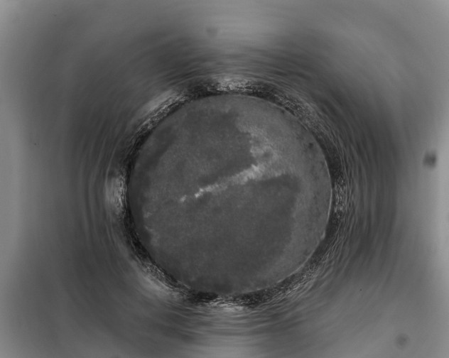 X0000099300648200805090955