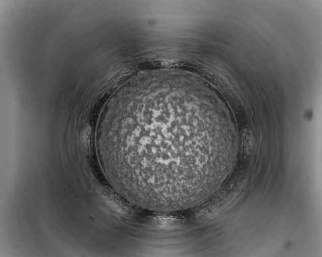 X0000099300650200805090955